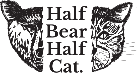 Half Bear Half Cat
